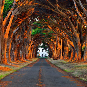 妲己土豪18分钟视频在线播放
